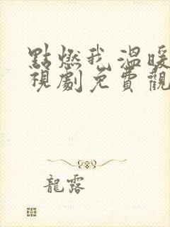 点燃我温暖你电视剧免费观看高清版