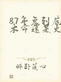 87年兔到底是木命还是火命