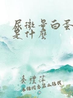 尿微量白蛋白高是什么