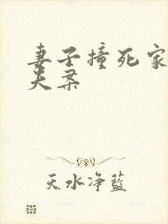 妻子撞死家暴丈夫案