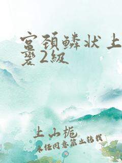 宫颈鳞状上皮病变2级