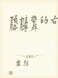 颈椎带的右肩和胳膊疼