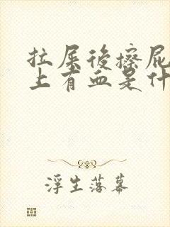 拉屎后擦屁股纸上有血是什么原因