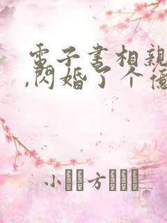 电子书相亲当天,闪婚了个亿万富翁