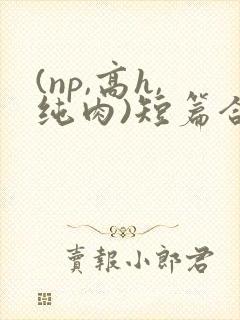 (np,高h,纯肉)短篇合集