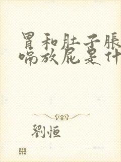 胃和肚子胀气打嗝放屁是什么原因