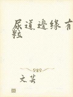 尿道边缘有小肉粒