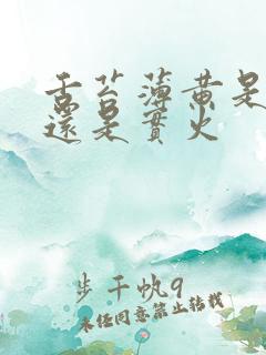 舌苔薄黄是虚火还是实火