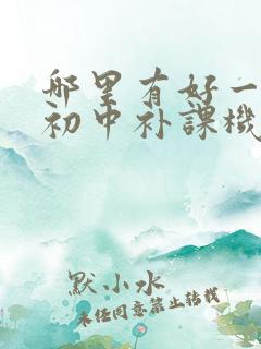 哪里有好一点的初中补课机构