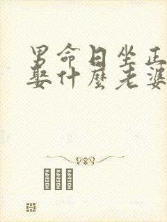 男命日坐正官会娶什么老婆