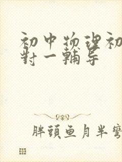 初中物理初二一对一辅导