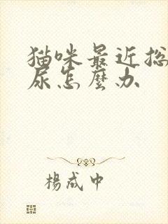 猫咪最近总是乱尿怎么办