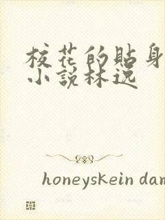 校花的贴身高手小说林逸