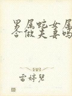 男属蛇女属马适合做夫妻吗