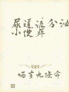 尿道流分泌物 小便疼