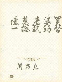 亿万老婆买一送一总裁的替身前妻