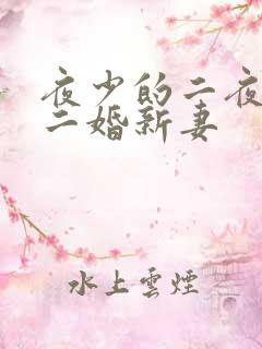 夜少的二夜少的二婚新妻
