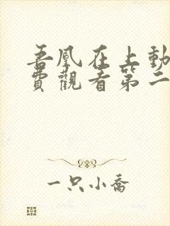 吾凰在上动漫免费观看第二季