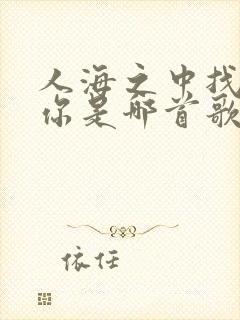 人海之中找到了你是哪首歌的歌词