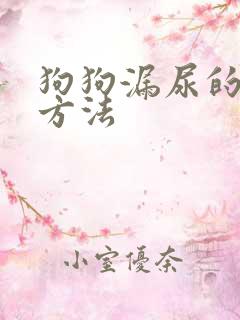 狗狗漏尿的解决方法