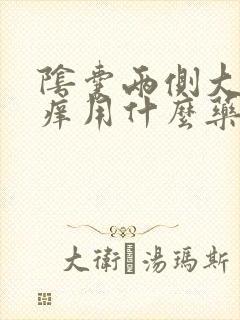 阴囊两侧大腿瘙痒用什么药