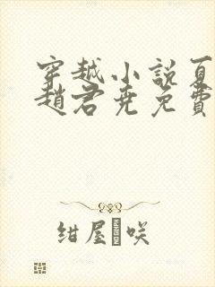 穿越小说夏如卿赵君尧免费阅读