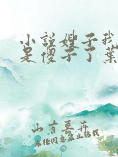 小说嫂子我真不是傻子了叶凡下载全文