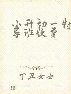 小升初一对一辅导班收费