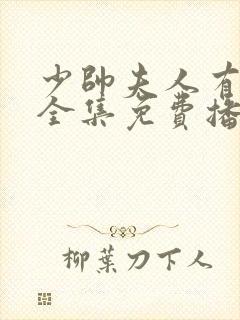 少帅夫人有点俏全集免费播放