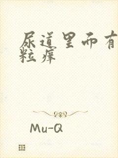 尿道里面有小肉粒痒