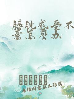 膀胱感受不到尿意怎么办