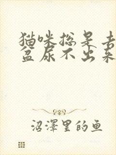 猫咪总是去猫砂盆尿不出来