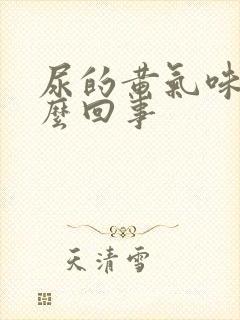 尿的黄气味大怎么回事