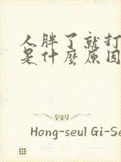 人胖了就打呼噜是什么原因