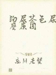 狗尿茶色尿是什么原因