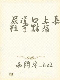 尿道口上长小肉粒有点痛