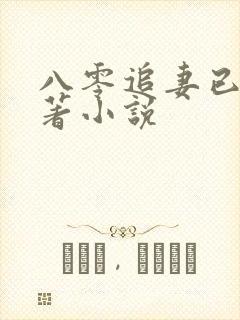 八零追妻已迟原著小说