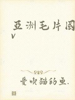 亚洲毛片国产av