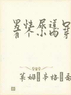 男性尿道口下边有个小肉芽