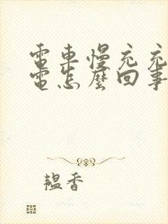 电车慢充充不进电怎么回事