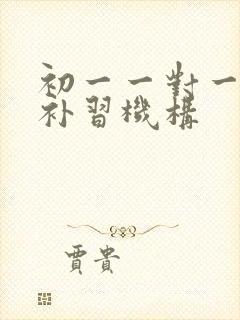 初一一对一数学补习机构