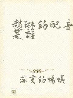 赵琳的配音演员是谁