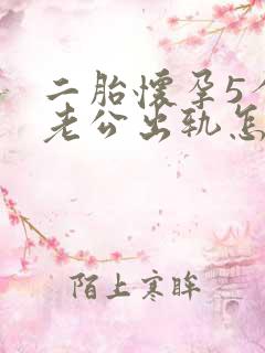 二胎怀孕5个月老公出轨怎么办