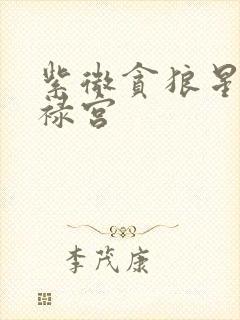 紫微贪狼星入官禄宫