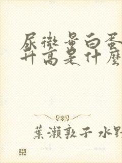 尿微量白蛋白的升高是什么问题