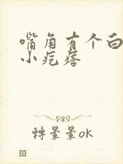 嘴角有个白色的小疙瘩