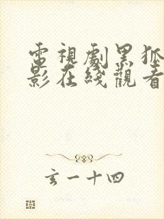 电视剧黑狐之风影在线观看