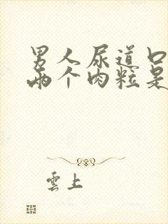 男人尿道口长了两个肉粒是怎么回事