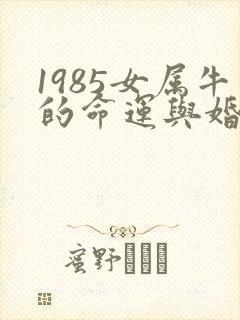 1985女属牛的命运与婚姻