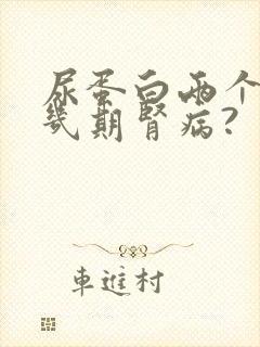 尿蛋白两个加是几期肾病?